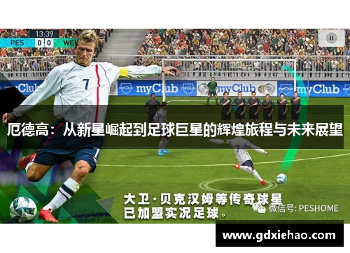 厄德高：从新星崛起到足球巨星的辉煌旅程与未来展望