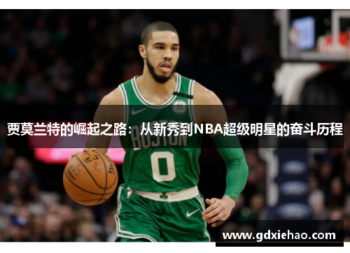 贾莫兰特的崛起之路：从新秀到NBA超级明星的奋斗历程